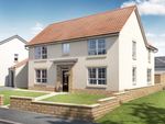 Thumbnail to rent in "Brechin" at Younger Gardens, St. Andrews