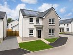 Thumbnail to rent in "Ballater" at Kavanagh Crescent, East Kilbride, Glasgow
