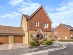 Thumbnail for sale in Acacia Gardens, Wrecclesham, Farnham, Surrey