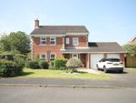 Thumbnail for sale in Paddock Hill, Ponteland, Newcastle Upon Tyne