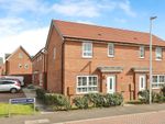 Thumbnail for sale in Marchant Way, Warwick