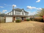 Thumbnail to rent in Cissbury Avenue, Findon Valley, Worthing
