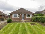 Thumbnail for sale in Little Morton Road, North Wingfield, Chesterfield