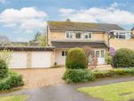 Thumbnail for sale in Hazelbank Close, Petersfield, Hampshire