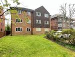 Thumbnail to rent in Grove Road, Sutton