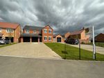 Thumbnail for sale in Lipwood Way, Wynyard, Billingham