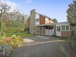 Thumbnail for sale in Arundel Close, Passfield, Liphook