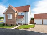 Thumbnail to rent in Barnsole Road, Staple, Canterbury, Kent