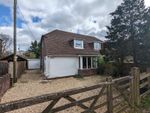 Thumbnail for sale in Fibbards Road, Brockenhurst, Hampshire