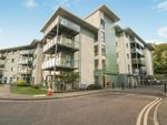 Thumbnail to rent in Rollason Way, Brentwood