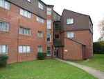 Thumbnail to rent in Cranston Close, Hounslow