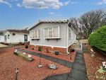 Thumbnail for sale in Austin Way, Carr Bridge Residential Park, Blackpool