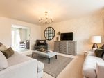 Thumbnail to rent in "The Shelford - Plot 169" at Eider Drive, Chichester