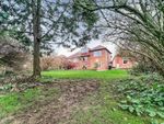 Thumbnail to rent in Parkside Close, Cottingham, East Riding Of Yorkshire