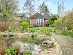 Thumbnail to rent in Highfield, Twyford, Winchester, Hampshire