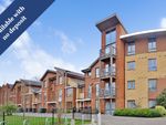 Thumbnail to rent in Commonwealth Drive, Crawley