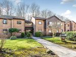 Thumbnail to rent in Stableford Avenue, Eccles, Manchester, Greater Manchester
