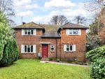 Thumbnail to rent in The Forstal, Eridge Green, Tunbridge Wells, Kent