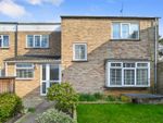 Thumbnail for sale in Elm Estate, East Bergholt, Colchester