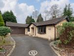 Thumbnail for sale in Hawthorne Close, Barrowford, Nelson