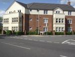 Thumbnail to rent in Clough Close, Middlesbrough