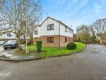 Thumbnail for sale in Elliot Close, Totton, Southampton, Hampshire