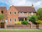 Thumbnail for sale in Common Road, Dunnington, York