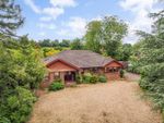 Thumbnail for sale in Winchester Road, Ropley, Alresford, Hampshire