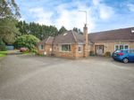 Thumbnail for sale in Westwood Lane, Normandy, Guildford, Surrey