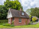 Thumbnail to rent in Colden Lane, Old Alresford, Alresford, Hampshire