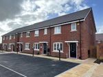 Thumbnail to rent in Plot 267, The Clavering, Earls Park