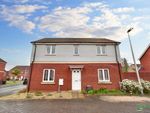 Thumbnail to rent in Nile Road, Exeter