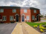 Thumbnail to rent in Cornflower Close, Whittlesey, Peterborough
