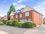 Thumbnail to rent in Birmingham Road, Sutton Coldfield