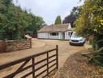 Thumbnail for sale in Oaks Drive, Swaffham