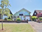 Thumbnail for sale in Eastcliff Close, Lee-On-The-Solent, Hampshire