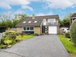 Thumbnail for sale in Selby Close, Chesterfield