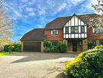 Thumbnail to rent in Hawksfold Lane East, Fernhurst