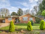 Thumbnail for sale in Woodlands Park, Tadworth, Surrey