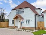 Thumbnail to rent in Bower Lane, Eynsford, Kent