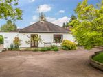 Thumbnail for sale in Downs Way, Great Bookham