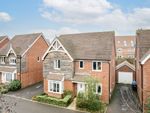 Thumbnail to rent in Meadowsweet Drive, Lindfield