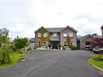 Thumbnail to rent in Maesglasnant, Carmarthen