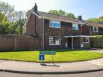 Thumbnail for sale in Norman Close, Orpington