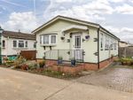 Thumbnail for sale in Meadowlands, Addlestone, Surrey