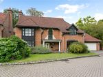 Thumbnail for sale in Abbey Wood, Sunningdale, Ascot, Berkshire