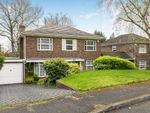 Thumbnail for sale in Dale Wood Road, Orpington, Kent