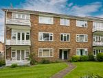 Thumbnail to rent in Lindfield Gardens, Guildford, Surrey