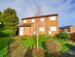 Thumbnail for sale in Winterbourne Close, Hastings