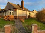 Thumbnail to rent in Chestnut Avenue, Leicester